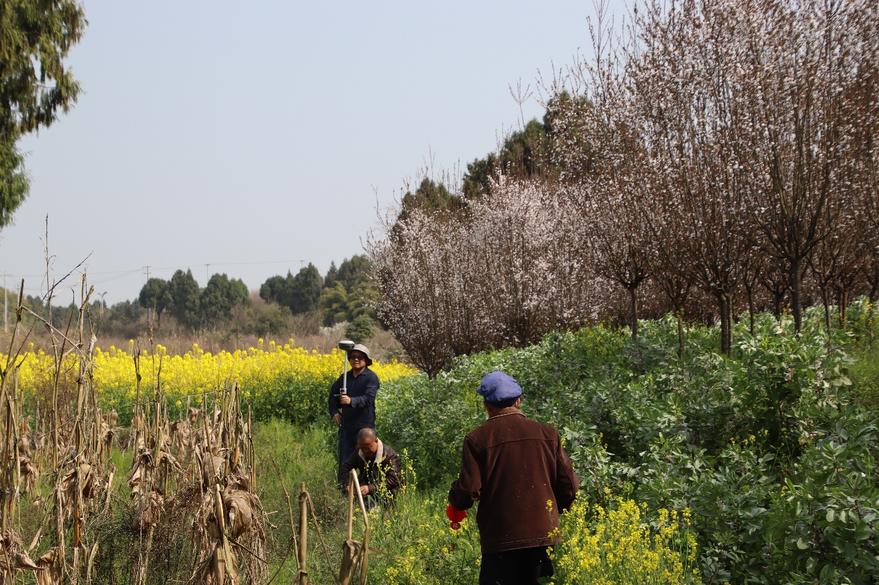 说明: C:\Users\Administrator\Desktop\成都基地\成都基地重要照片\2022.3.10界址点测绘\IMG_0802.JPG