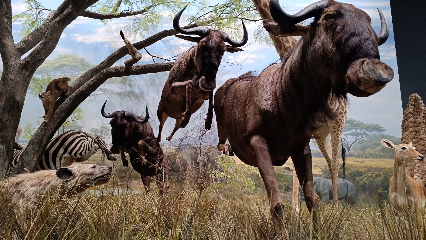 说明: C:\Users\Administrator\AppData\Local\Temp\WeChat Files\3cac473b7220262b7c3fe85e432325e.jpg