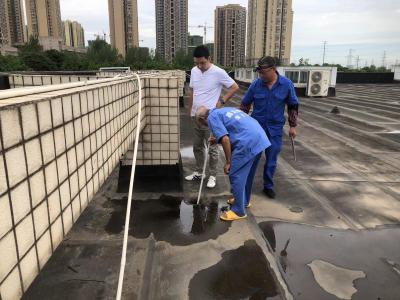 12feffaeb8df0c63ce5848f112e23049_